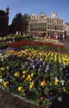 RWT 0231 261-21 Belgium Grand Place Brsl.jpg (772275 bytes)