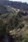 RWT 0244 304-26 Portugal Heading Upland.jpg (786239 bytes)