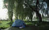 RWT 0265 314-25 France Free Camp.jpg (841294 bytes)