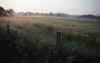RWT 0293 325-32 France Misty Morning.jpg (545279 bytes)
