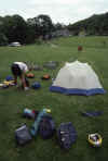 RWT 0308 335-30 UK Sheep Paddock Camp Wales.jpg (677894 bytes)