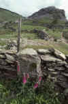 RWT 0313 337-12 UK Welsh Mtns.jpg (880463 bytes)