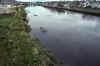 RWT 0317 340-08 Ireland.jpg (733062 bytes)