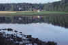 RWT 0365 371-21 Sweden Still Water.jpg (669821 bytes)