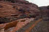 2001-04 Utah Trip 027 Canyon on Cedar Mesa.jpg (243160 bytes)