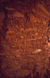 2001-04 Utah Trip 030 800-year-old Fingerprints.jpg (172321 bytes)