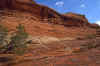 2001-04 Utah Trip 032 Canyon on Cedar Mesa.jpg (250169 bytes)
