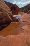 2001-04 Utah Trip 033 Canyon on Cedar Mesa.jpg (185553 bytes)