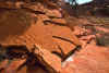 2001-04 Utah Trip 034 Canyon on Cedar Mesa Dino Tracks.jpg (265626 bytes)