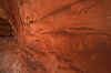 2001-04 Utah Trip 040 Canyon on Cedar Mesa.jpg (172443 bytes)