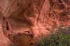 2001-04 Utah Trip 047 Mule Creek Canyon.jpg (284994 bytes)