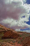 2001-04 Utah Trip 048 Mule Creek Canyon.jpg (158025 bytes)