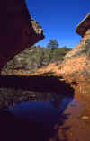 2001-04 Utah Trip 053.jpg (171286 bytes)