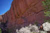 2001-04 Utah Trip 057 Ruins.jpg (232052 bytes)