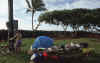 WT 0020 T03-04 Hawaii.jpg (174559 bytes)