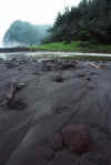 WT 0045 T06-21 Hawaii Pololu.jpg (125399 bytes)