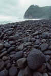 WT 0046 T06-22 Hawaii Pololu.jpg (163313 bytes)