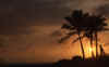 WT 0055 T08-05 Hawaii Jeff Playing Harmonica at Sunset.jpg (67787 bytes)