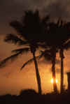 WT 0056 T08-07 Hawaii Sunset.jpg (88910 bytes)