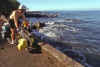 WT 0059 T09-20 Hawaii.jpg (229031 bytes)