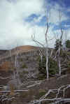 WT 0080 002-36 Hawaii Kilauea.jpg (193127 bytes)