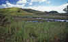 WT 0200 012-12 New Zealand.jpg (203165 bytes)