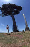 WT 0200 014-10 New Zealand.jpg (175593 bytes)