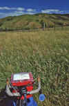 WT 0200 016-10 New Zealand.jpg (250168 bytes)