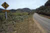 WT 0200 018-07 New Zealand.jpg (207339 bytes)