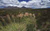 WT 0200 022-29 New Zealand.jpg (227693 bytes)