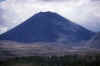 WT 0200 022-34 New Zealand.jpg (96805 bytes)