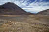 WT 0200 024-07 New Zealand.jpg (207431 bytes)