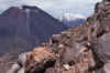 WT 0200 024-23 New Zealand.jpg (208667 bytes)
