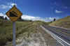 WT 0200 025-25 New Zealand.jpg (169405 bytes)