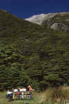 WT 0200 039-20 New Zealand.jpg (200709 bytes)