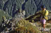 WT 0200 040-13 New Zealand Mellor and Keas.jpg (249345 bytes)