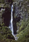 WT 0200 041-14 New Zealand.jpg (219679 bytes)