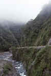 WT 0200 041-31 New Zealand.jpg (156648 bytes)