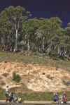 WT 0400 064-27 Australia.jpg (239954 bytes)