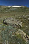 WT 0400 065-21 Australia.jpg (253783 bytes)