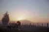 WT 0400 078-04 Australia Packing up at Sunrise.jpg (77777 bytes)