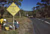 WT 0400 082-06 Australia.jpg (204305 bytes)