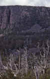 WT 0400 084-19 Australia.jpg (200842 bytes)