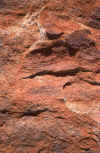 WT 0400 092-12 Australia.jpg (301281 bytes)