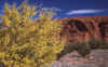 WT 0400 093-09 Australia.jpg (276056 bytes)