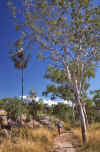 WT 0400 097-20 Australia Katherine Gorge NP.jpg (297343 bytes)
