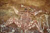 WT 0400 098-10 Australia.jpg (232264 bytes)