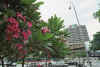 WT 0600 102-21 Singapore.jpg (184542 bytes)