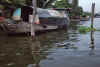 WT 0800 123-16 Thailand.jpg (160283 bytes)