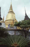 WT 0800 123-31 Thailand.jpg (140732 bytes)